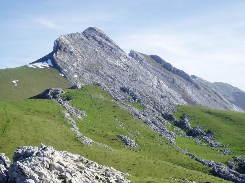 Aizkorritxotik ikusita