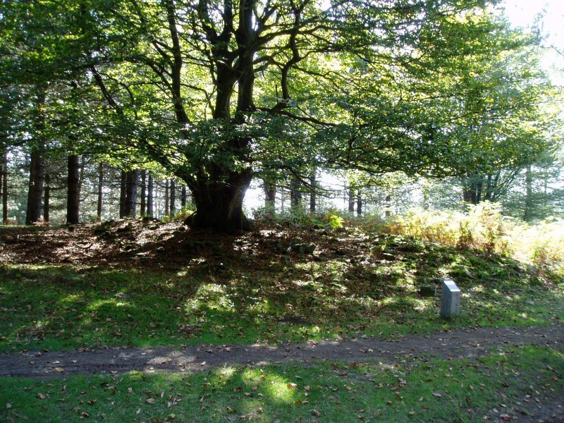 Arrolamendi I tumulua