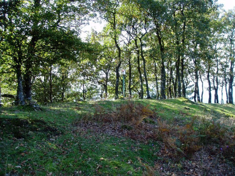 Arranoaitzeko tontorra