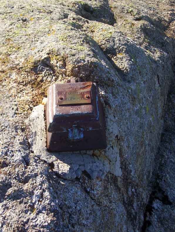 Galtzarrietako buzoia