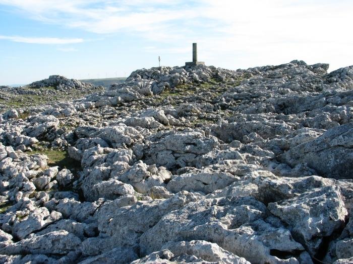 Tontorra eta inguruak