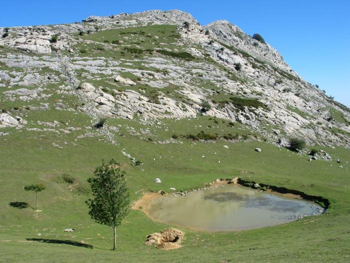 Erlo eta Xoxote inguruan dagoen uharka