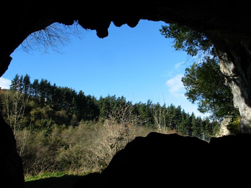 Leizearen sarrera, barrutik ikusita