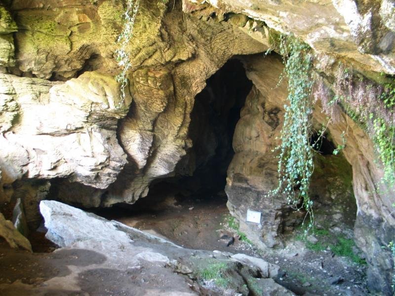 Landarbasoko leizeetako baten sarrera