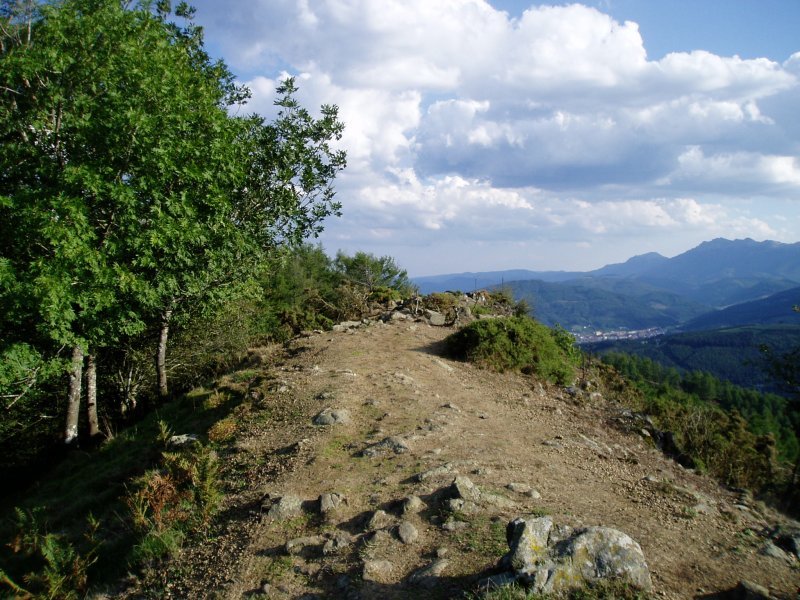 Mendebaldeko gandorra Meaka inguruan