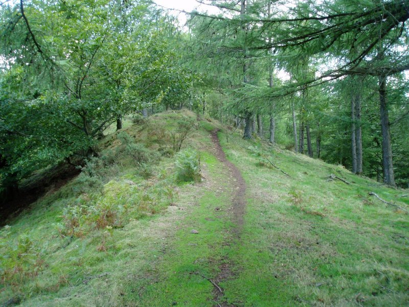 Mendebaldeko gandorreko pasarte bat