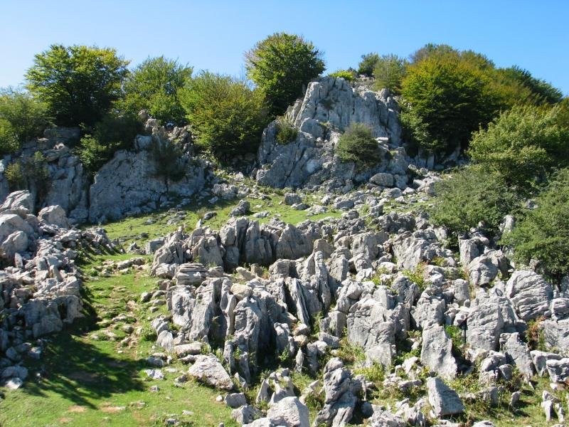 Ekialdeko bizkarreko igoera