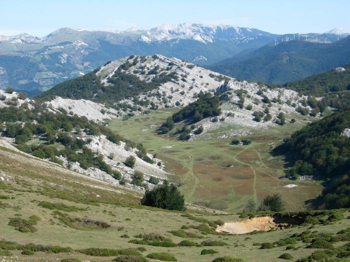 Degurixako bailararen hondoan