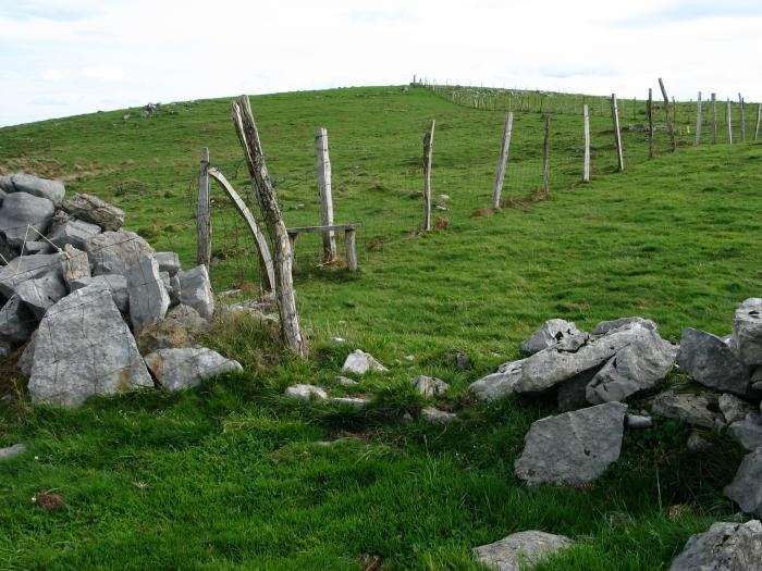 Erpin geodesikoa duen gaina