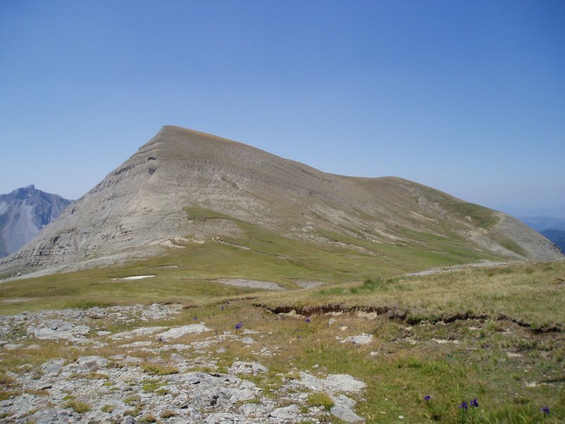 Kinboa Bajua ekialdetik ikusita