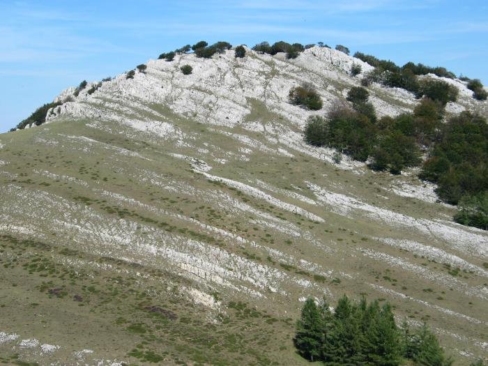 Apotzakarta (HM) lepotik ikusita