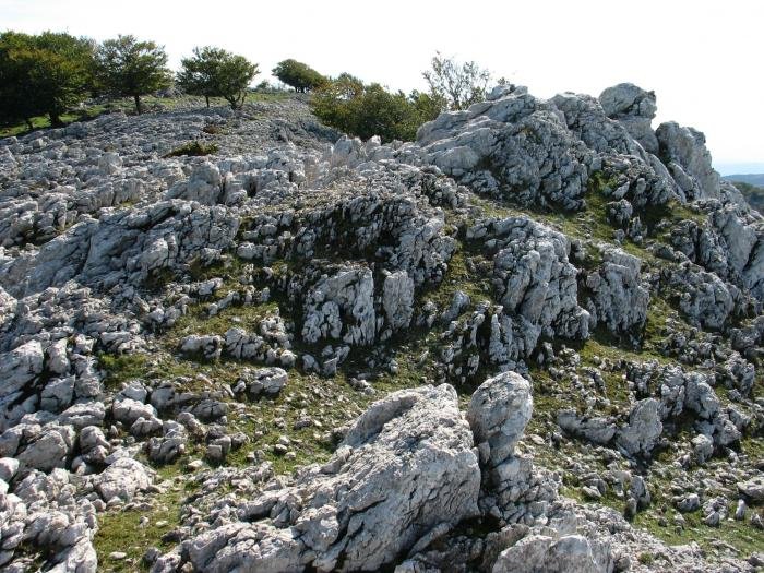 Iparraldeko gandorraren ikuspegia