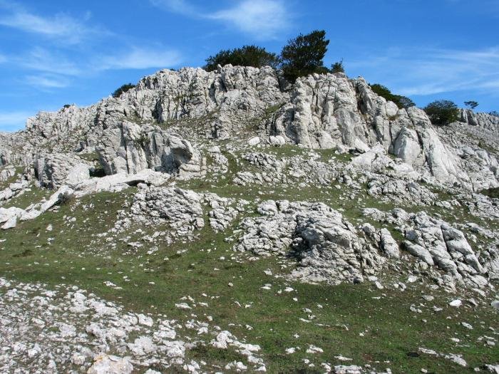 Mendebaldeko bizkarreko haitzak