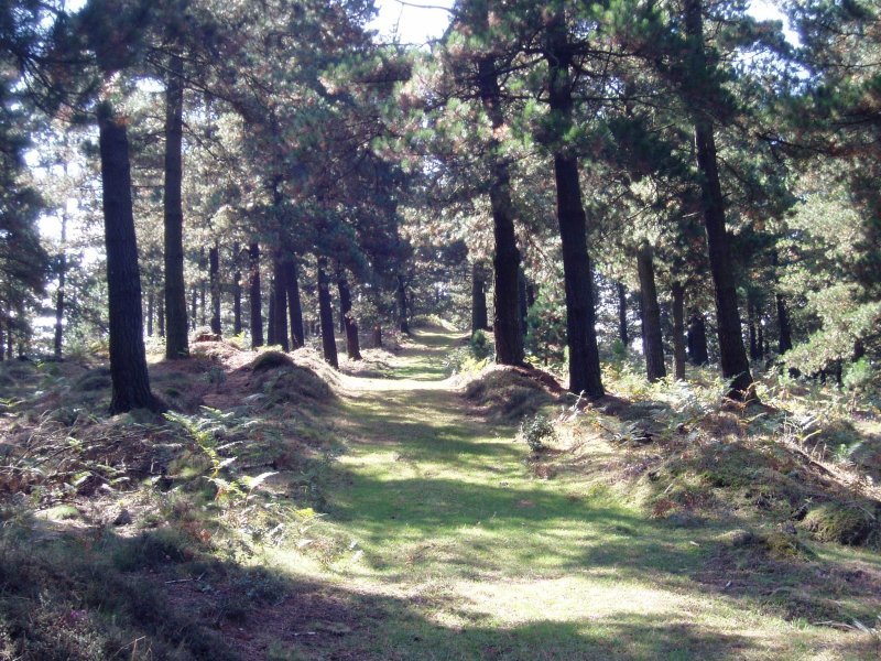 Larrabileko tontorra