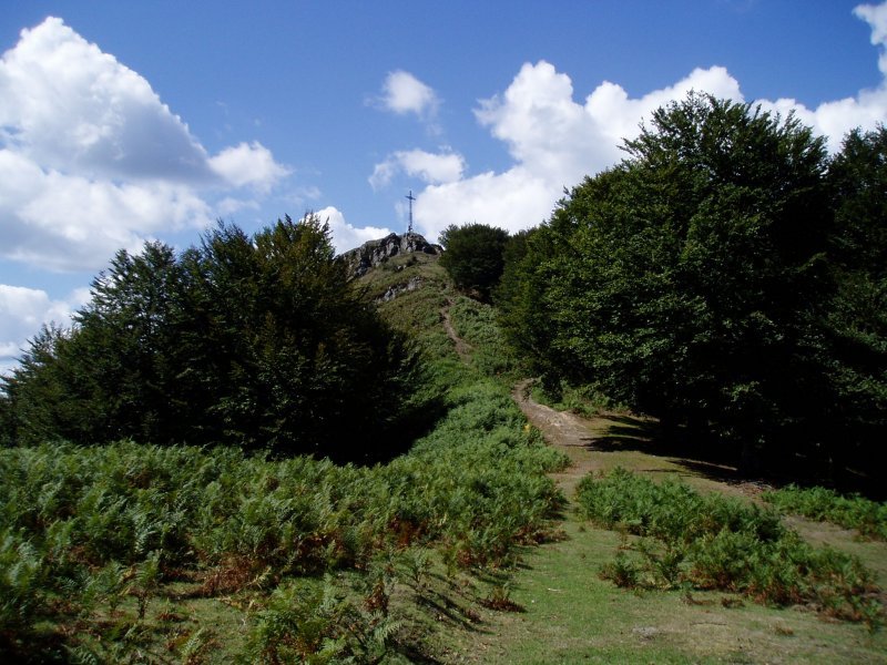 Ipar-ekialdetik ikusita