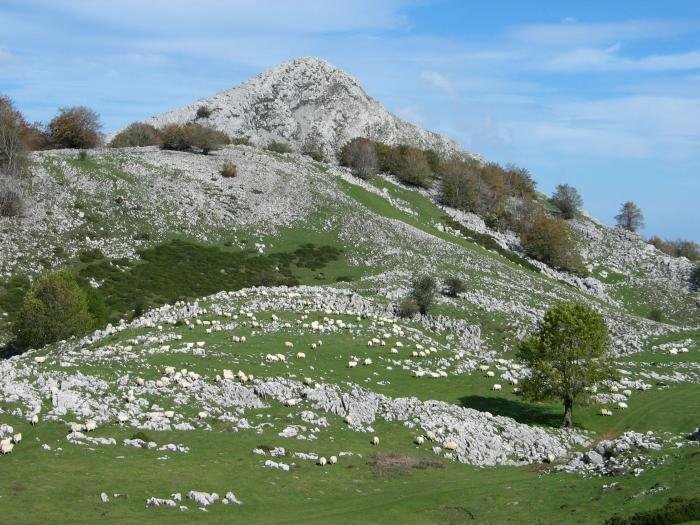 Beloki aldetik ikusita
