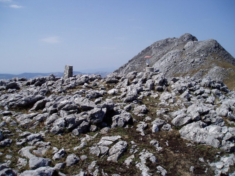 Errikoaitza tontorra