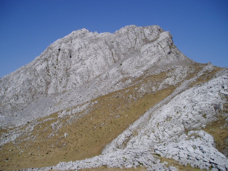 Hegoekialdetik ikusita