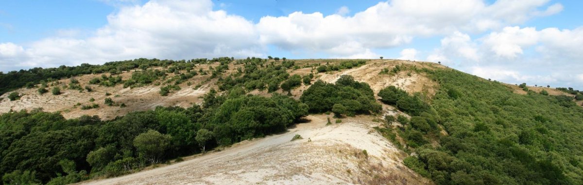 Tontorraren inguruak