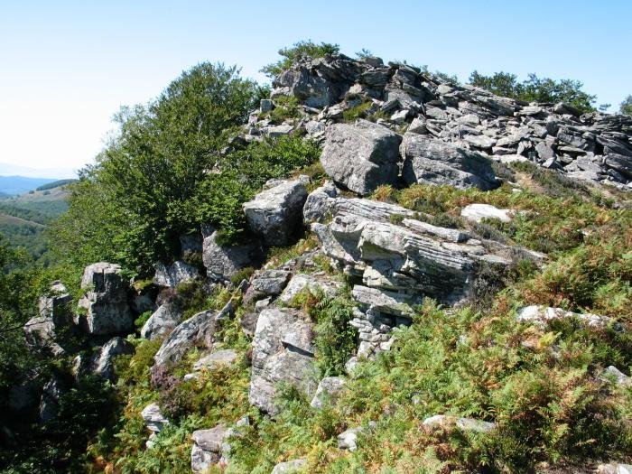 Tontorra Iparraldetik