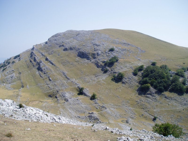 Arriurdinetik ikusita