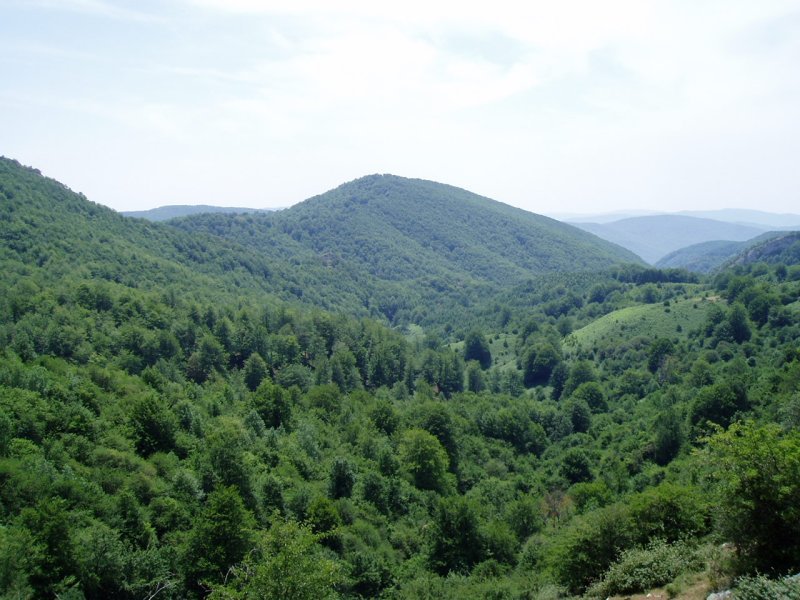 Iparrekialdetik ikusita