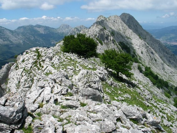 Ekialdeko gandorraren hasiera Larrano aldean