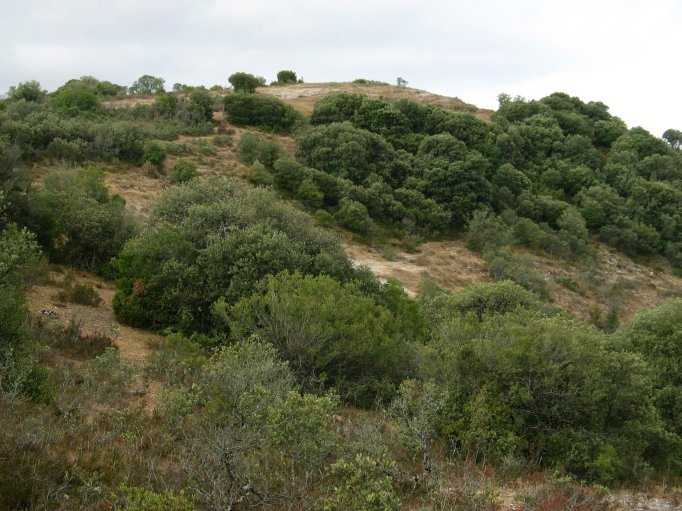 Gainaren inguruak, Apodaka aldeko bidetik