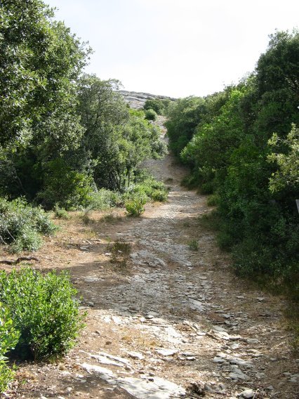 Mendebaldetik igotzen den bidea