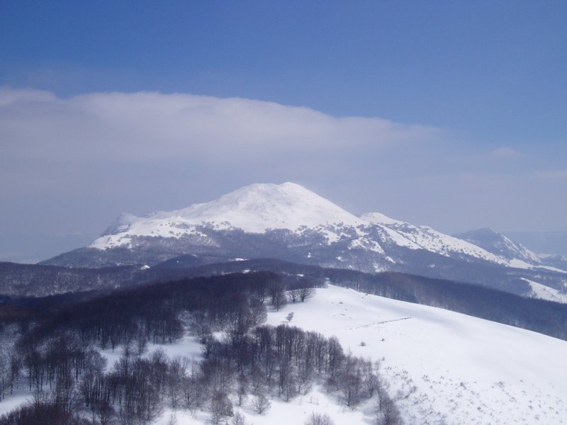 Milpiribiletik ikusita