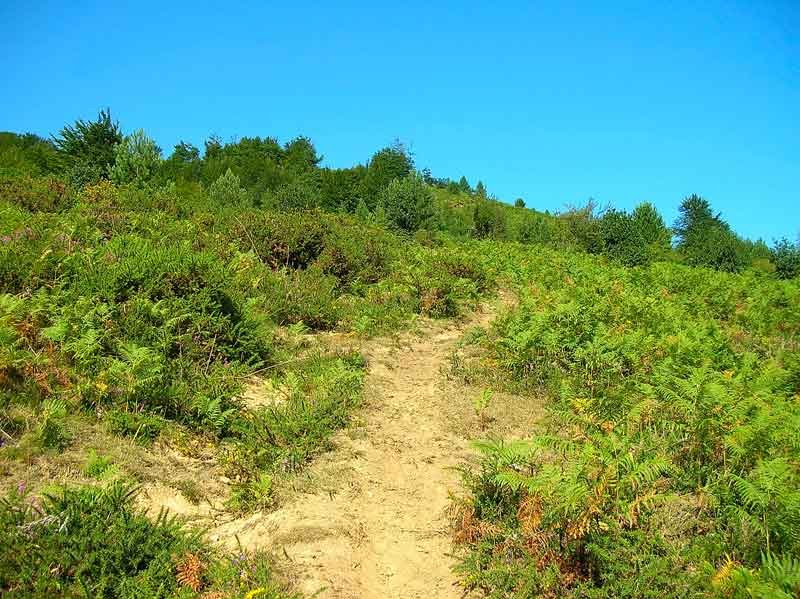 La pendiente es bastante acusada.