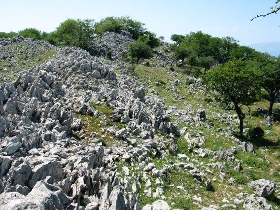 Tontorraren inguruak