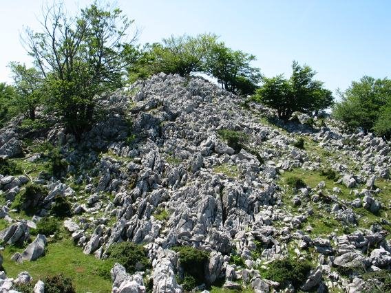 Tontorraren inguruak