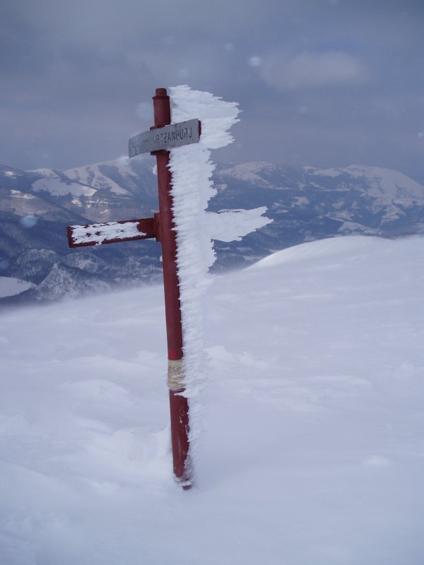 Norabide ezberdinak adierazten dituen seinalea Duru eta Urbia arteko bidean