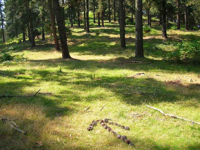 Ascendemos la loma en busca del cordal cimero.