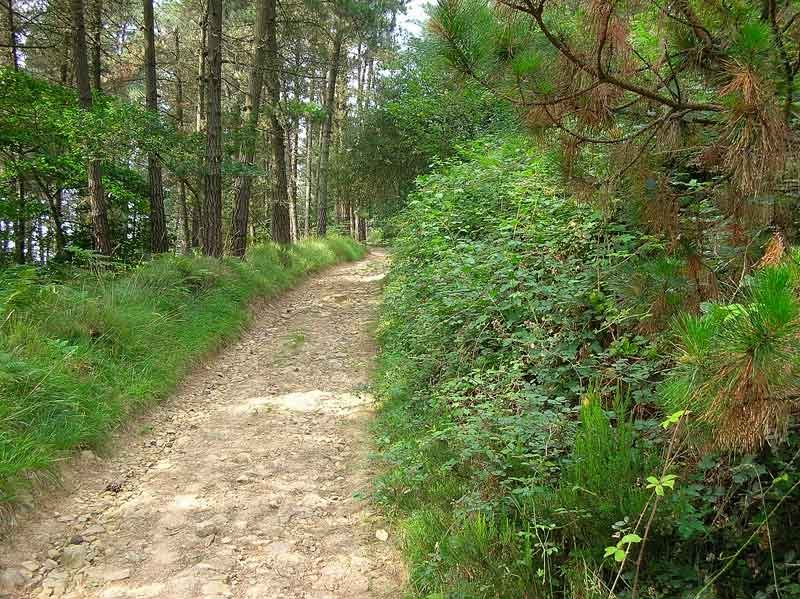 El terreno se torna m?s agradable.