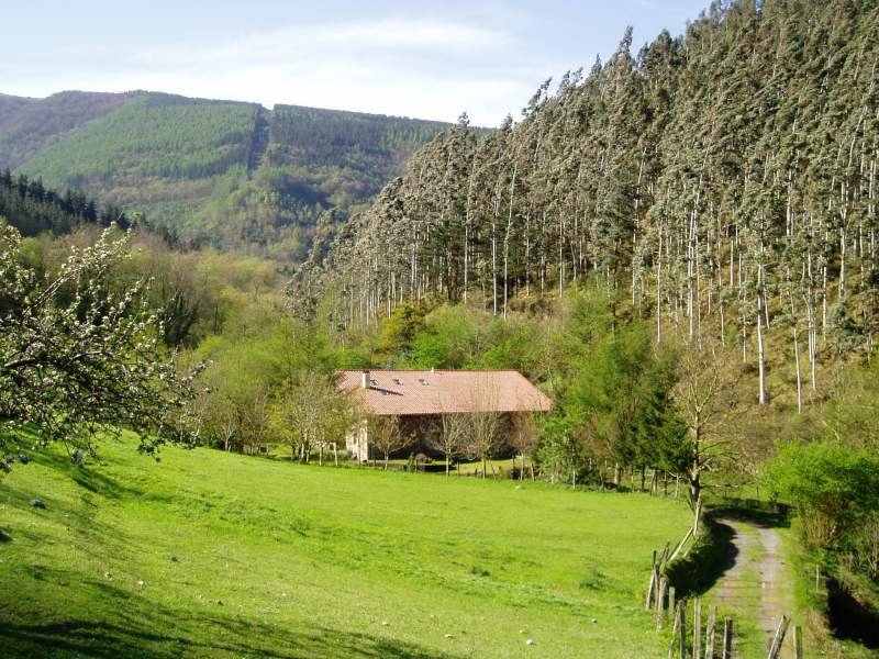 Baserri bat Atxartetik gertu