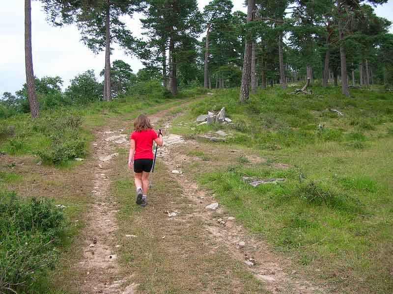 Por el cordal cimero.
