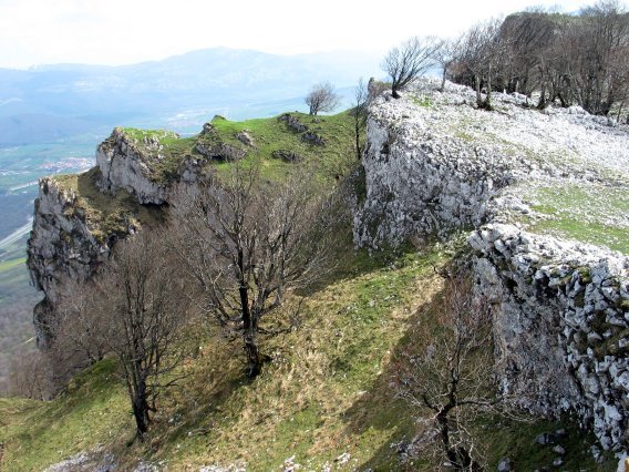 Hiruaitzetako gainaldea