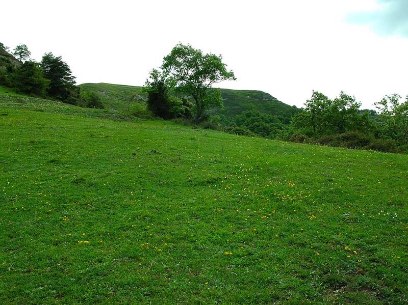 Remontamos la colina.