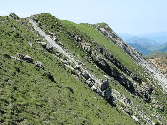 Gainaldeko gandorra Etik