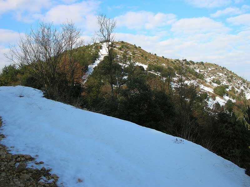 Alcanzando el alto del cordal.