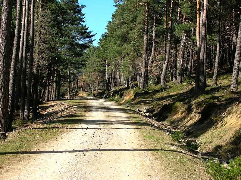 Ahora para descender tomamos la pista principal.