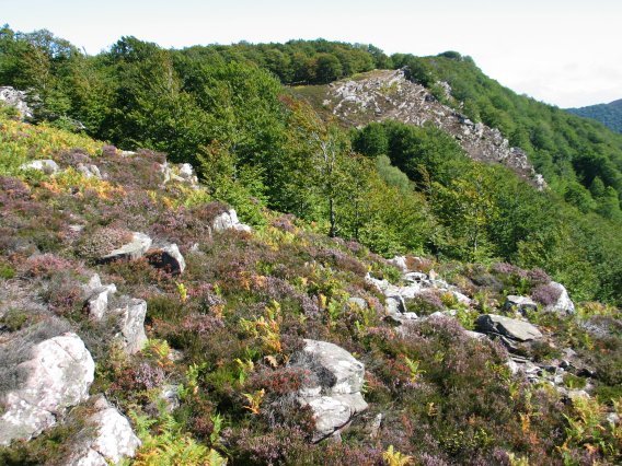 Gainaldeko ikuspegia