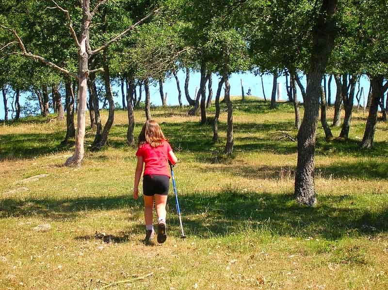 Alcanzando la cumbre.