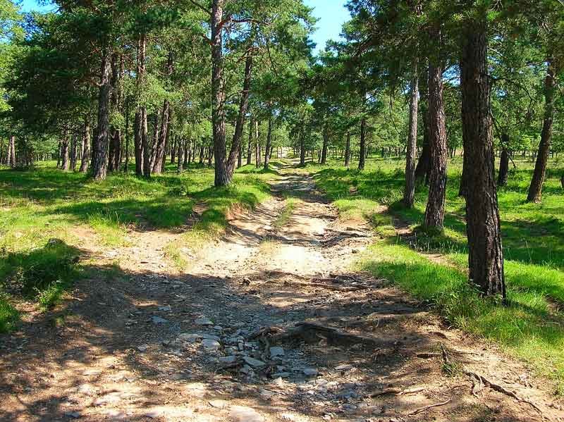 Giramos a la derecha desde el collado directos a la cumbre.
