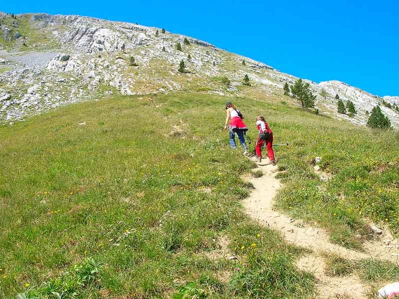 Dejamos atr?s el bosque para adentrarnos en las peñas.