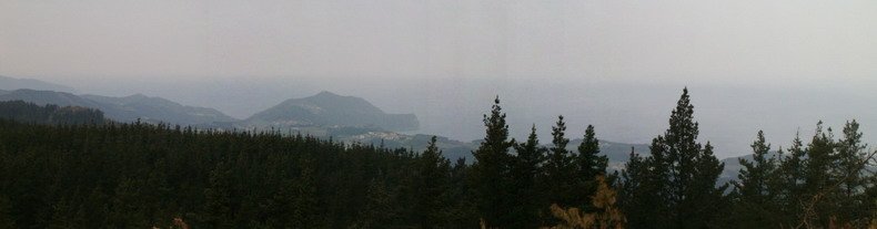 Kostaldea piñuak estaltzen dute