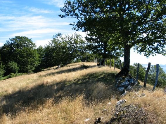 HMko bizkarreko pasarte bat