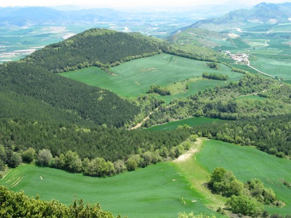 San Miguel muinoa, Idoate aldean